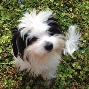 Meet your Posher, Jean